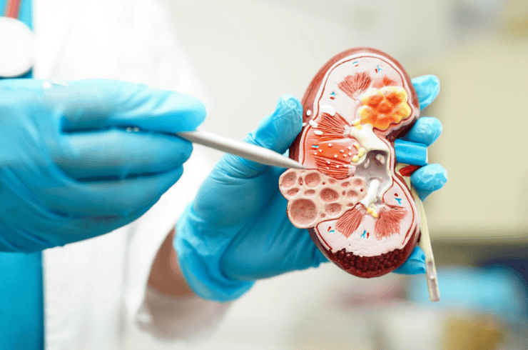 Pediatric Urology